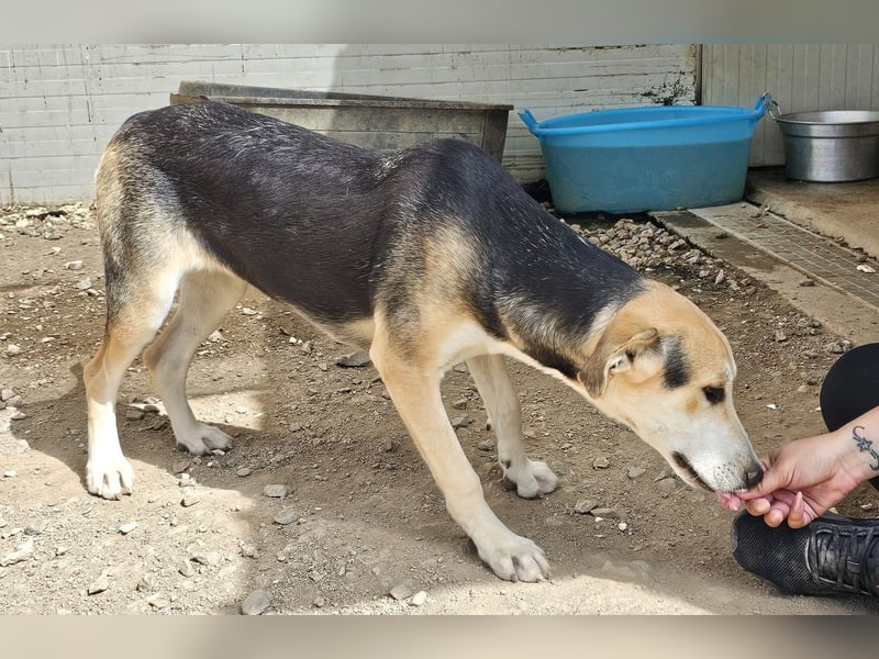 Roxy - mein Köfferchen ist schon gepackt