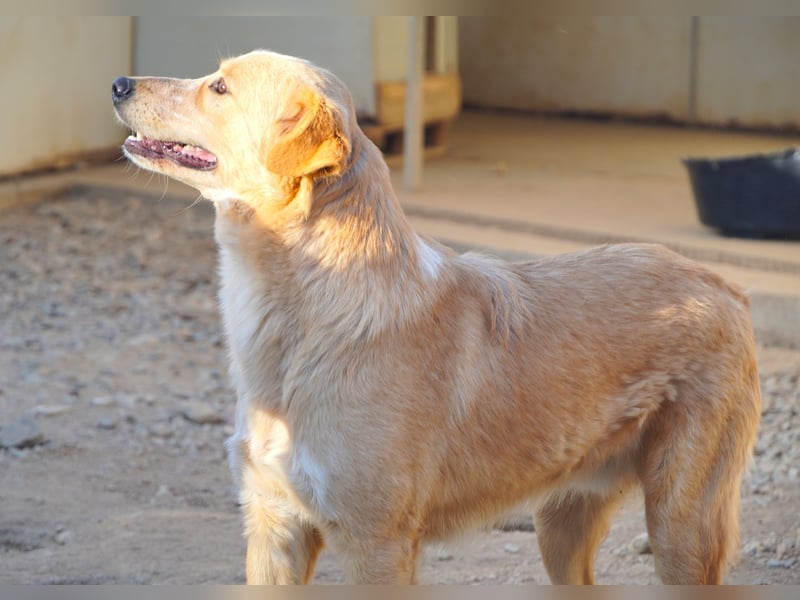 Ziguli - auf dem Weg ins Leben