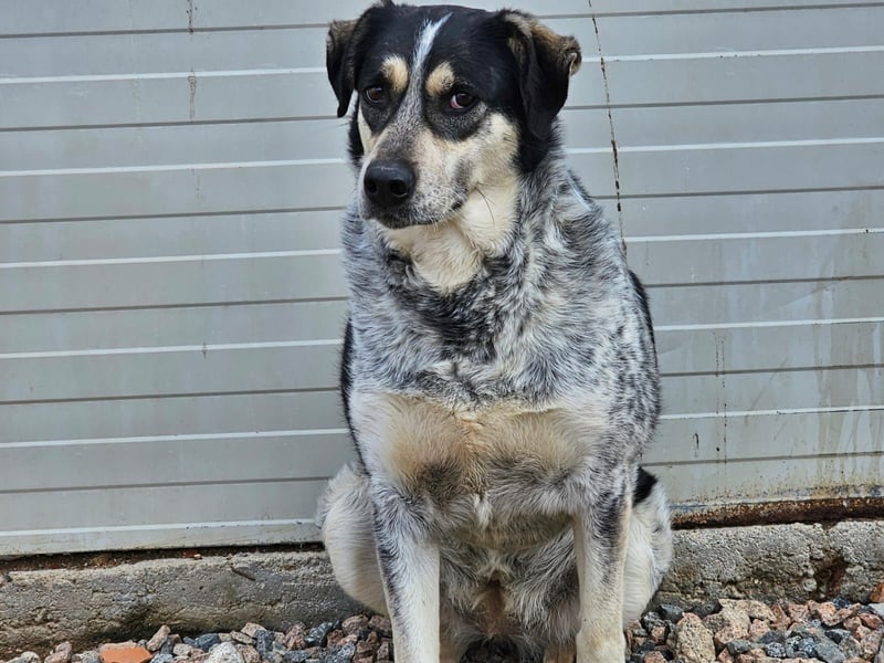 Mig - Wunder gesucht