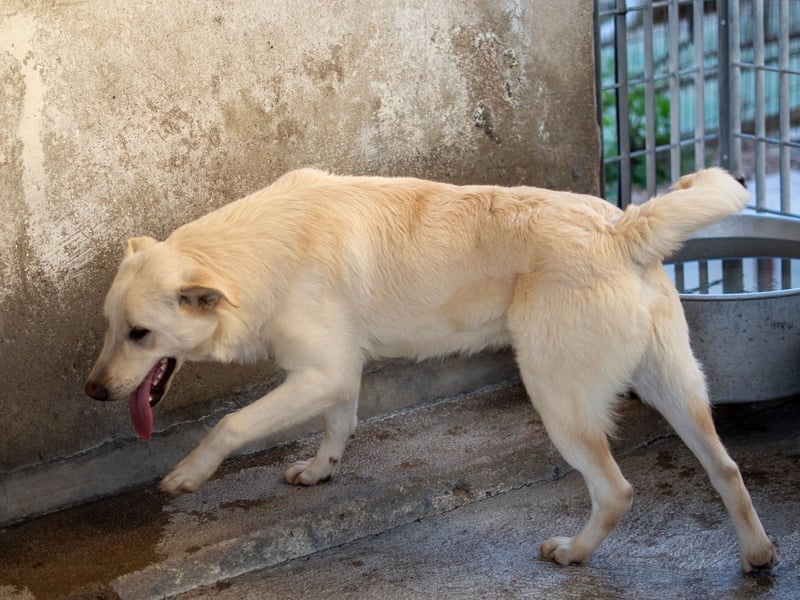 Xander - ein 6`er im Lotto