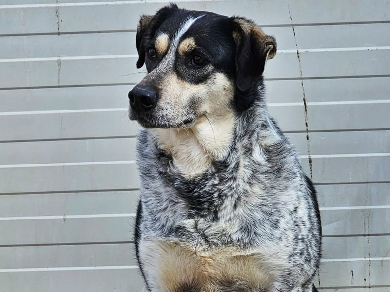 Mig - Wunder gesucht