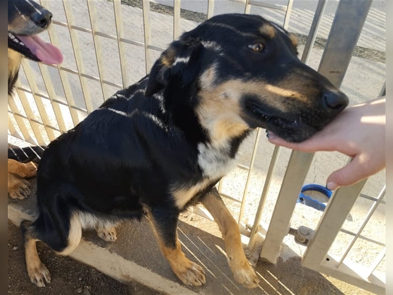 Mel - braucht nochmal Glück