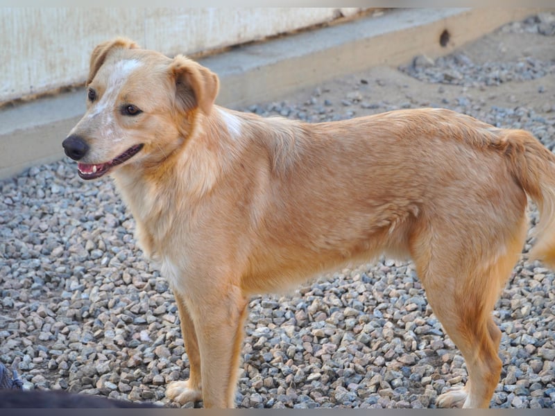 Ziguli - auf dem Weg ins Leben