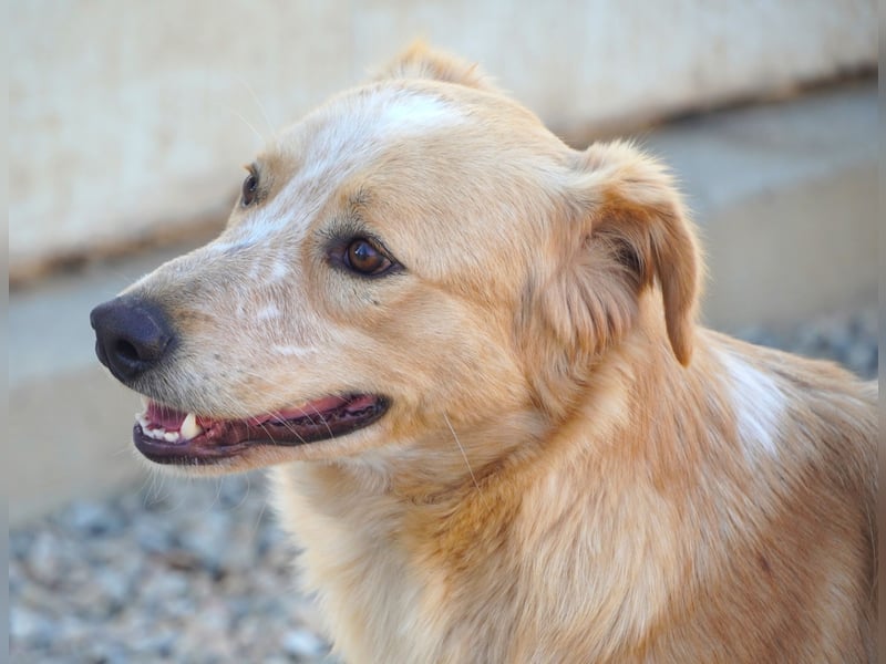 Ziguli - auf dem Weg ins Leben