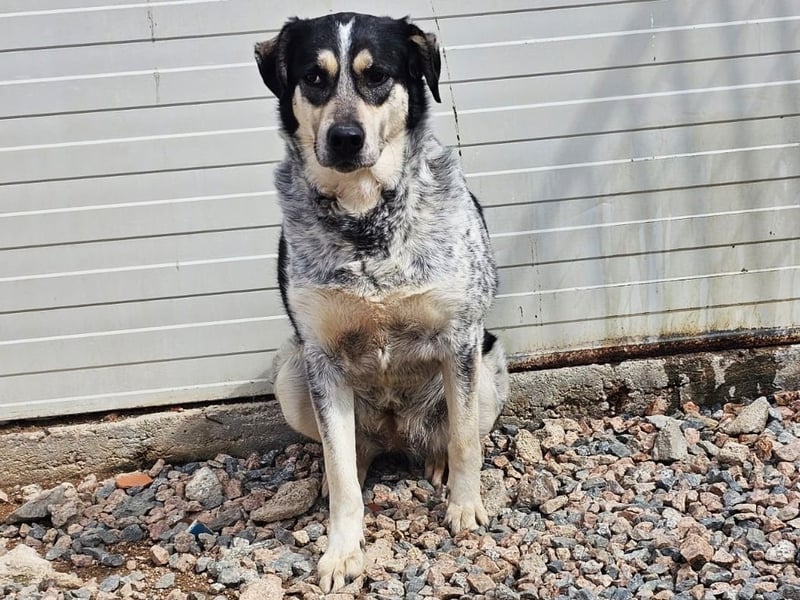 Mig - Wunder gesucht