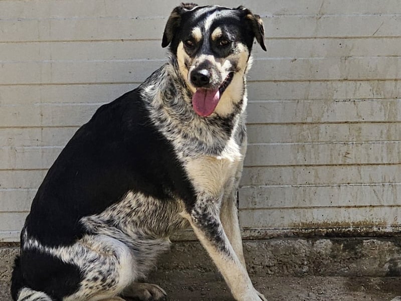 Mig - Wunder gesucht