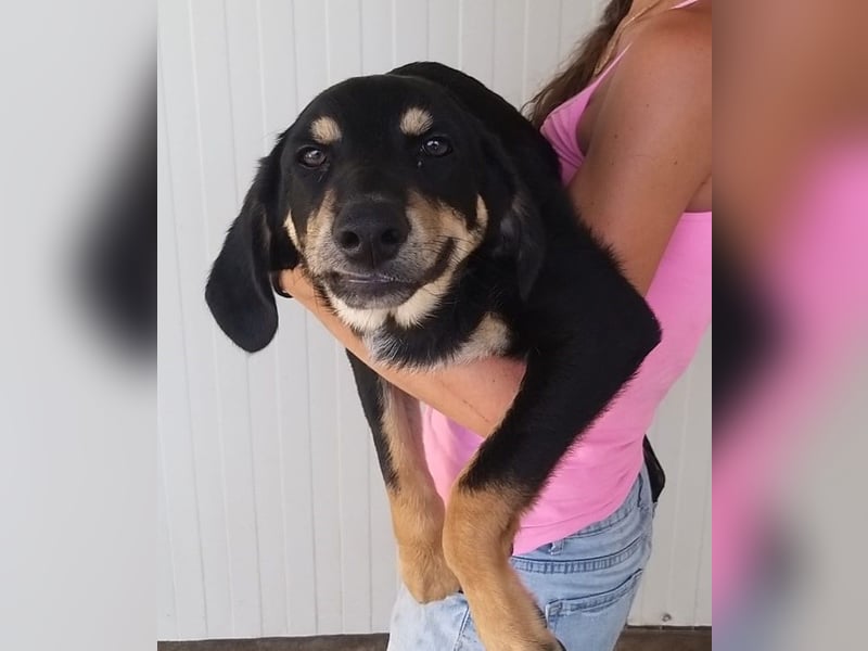 Mako - Vom Kuschelhund zurück ins Schneckenhaus