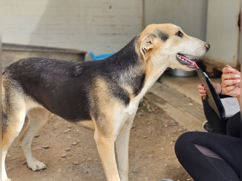 Roxy - mein Köfferchen ist schon gepackt