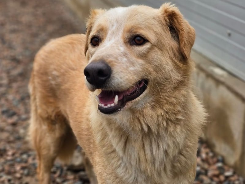 Ziguli - auf dem Weg ins Leben