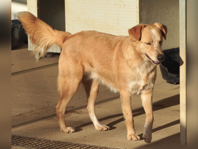 Ziguli - auf dem Weg ins Leben