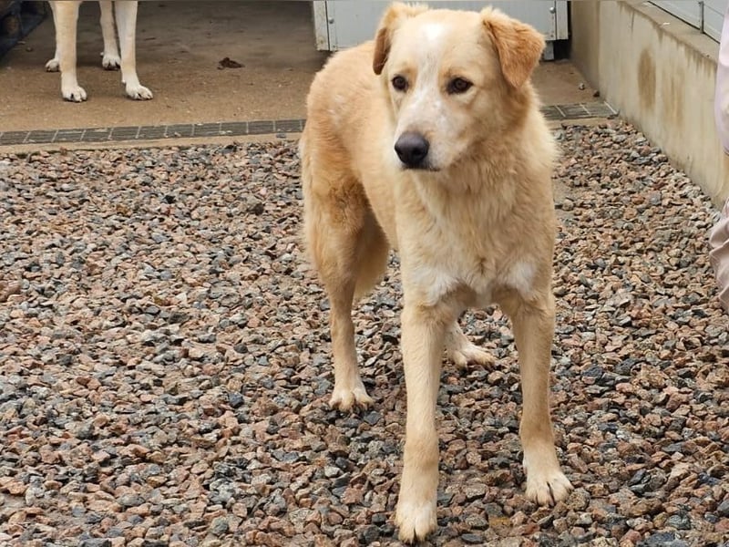 Ziguli - auf dem Weg ins Leben