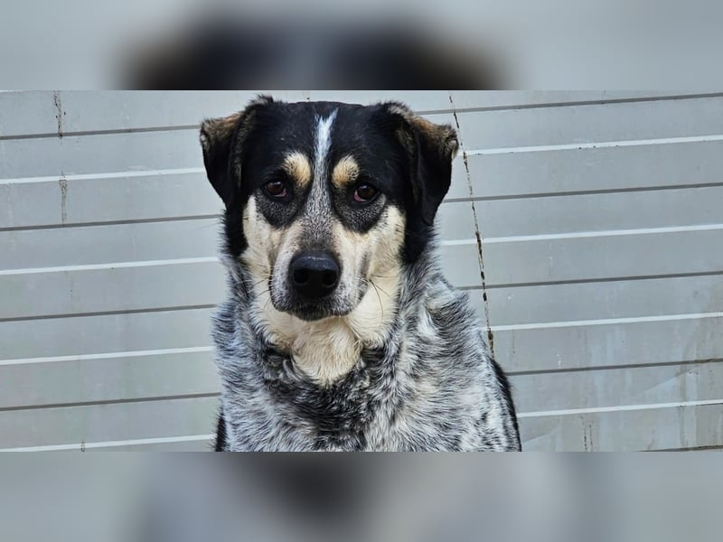 Mig - Wunder gesucht