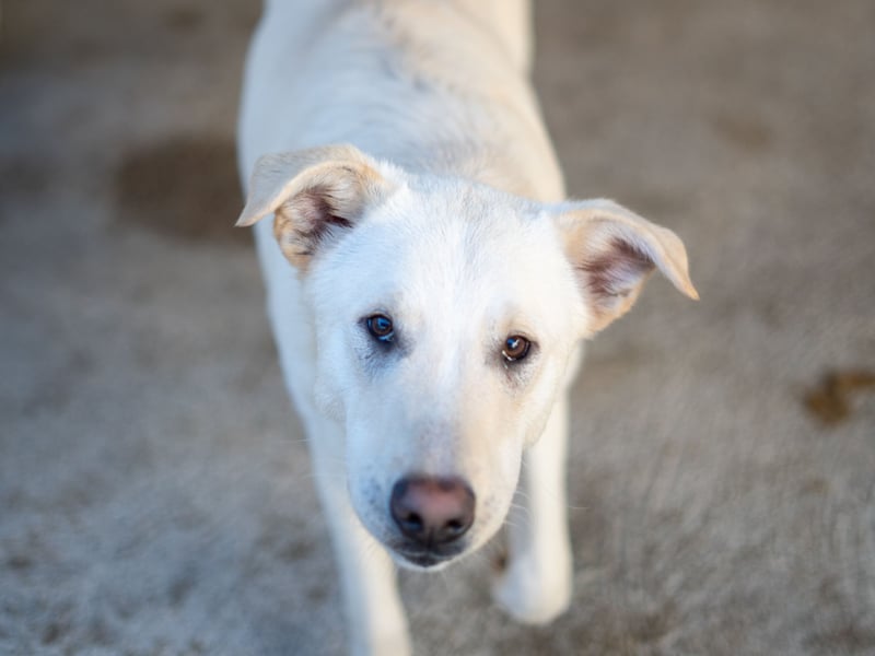 Xander - ein 6`er im Lotto