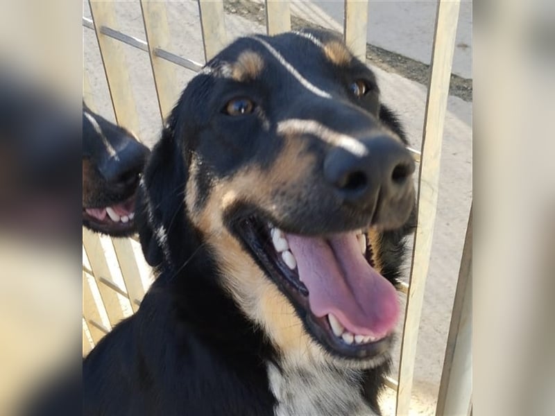 Mel - braucht nochmal Glück