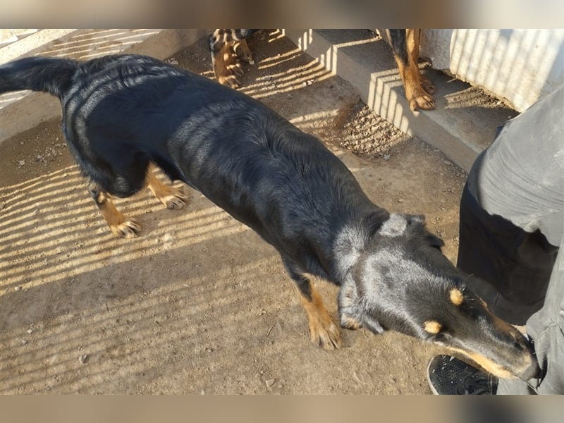 Mel - braucht nochmal Glück