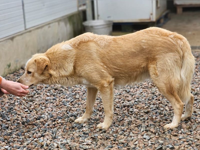 Ziguli - auf dem Weg ins Leben