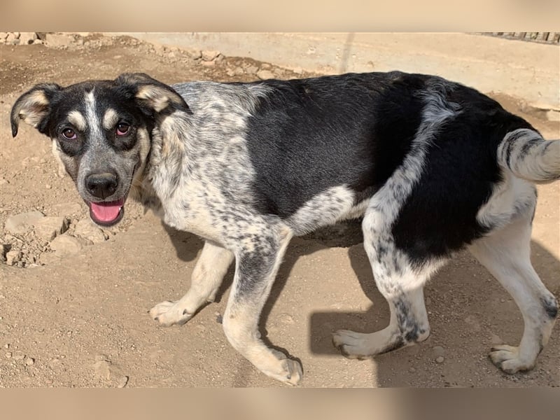 Mig - Wunder gesucht