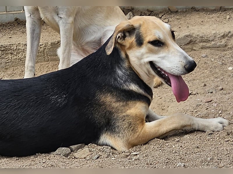 Roxy - mein Köfferchen ist schon gepackt