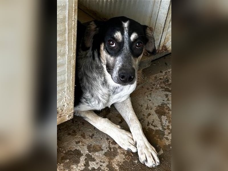 Mig - Wunder gesucht