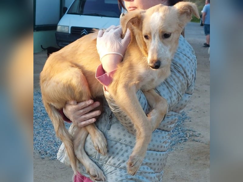 Ziguli - auf dem Weg ins Leben