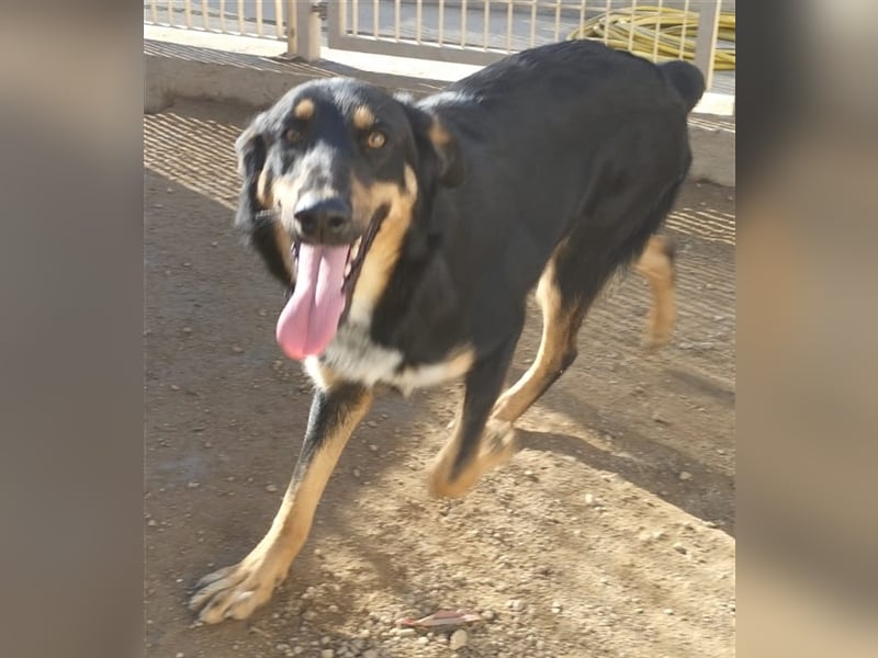 Mel - braucht nochmal Glück