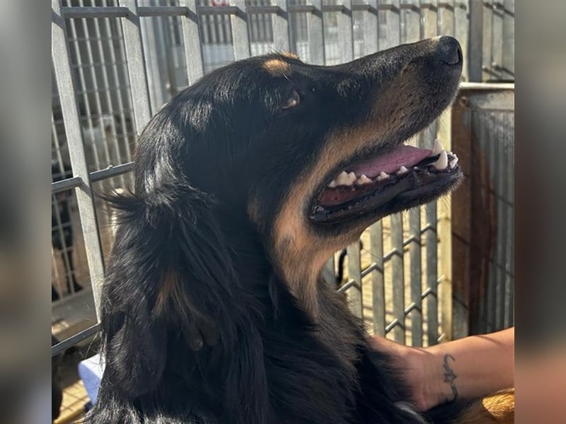 Mel - braucht nochmal Glück