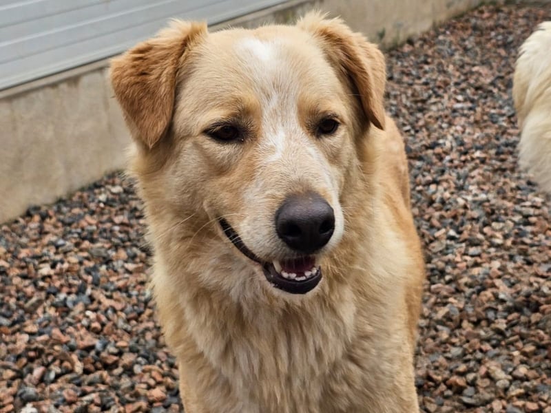 Ziguli - auf dem Weg ins Leben