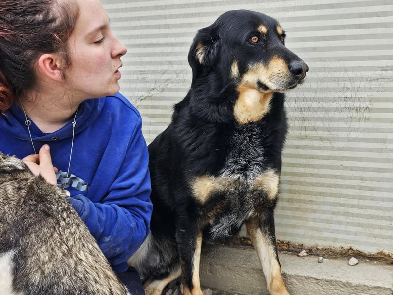 Mako - Vom Kuschelhund zurück ins Schneckenhaus