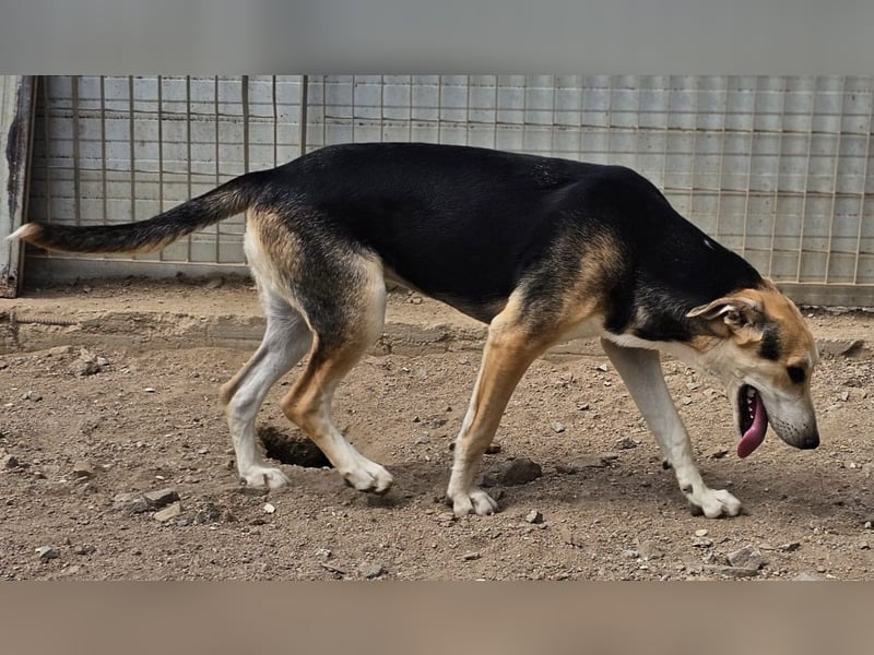 Roxy - mein Köfferchen ist schon gepackt