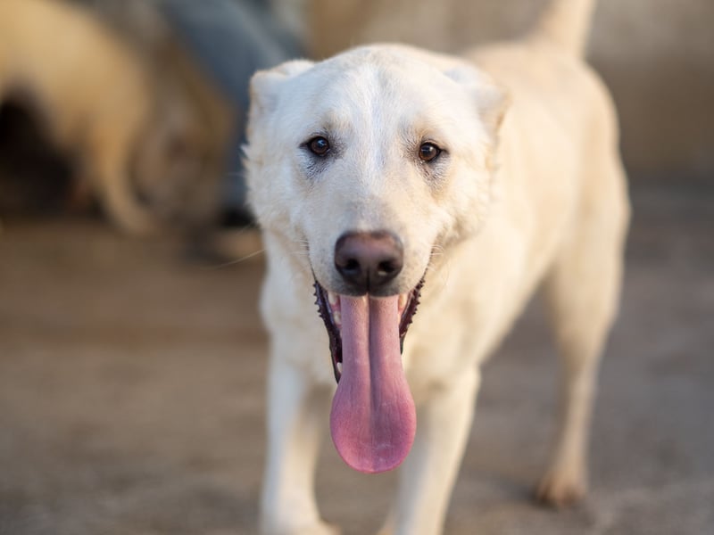 Xander - ein 6`er im Lotto