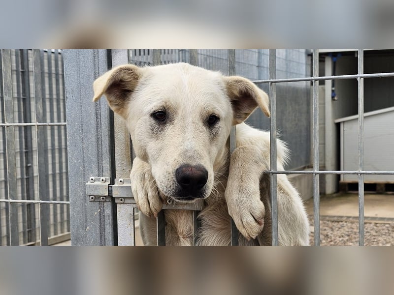 Xander - ein 6`er im Lotto