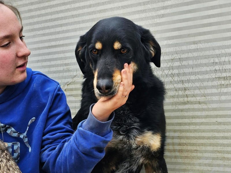 Mako - Vom Kuschelhund zurück ins Schneckenhaus