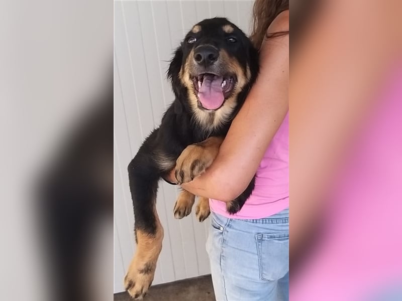 Mel - braucht nochmal Glück