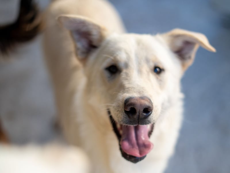 Xander - ein 6`er im Lotto