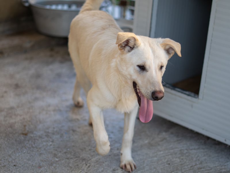 Xander - ein 6`er im Lotto