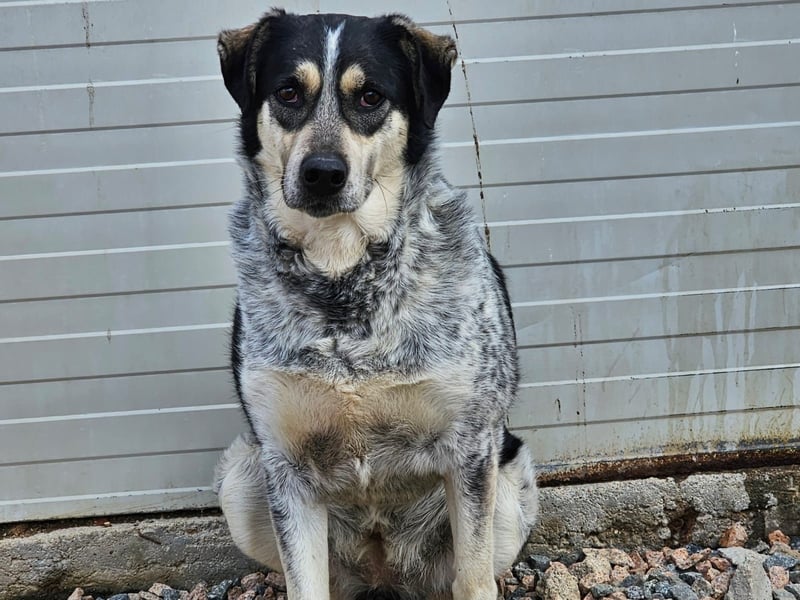 Mig - Wunder gesucht