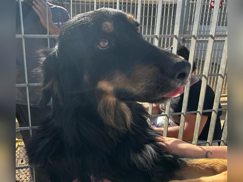 Mel - braucht nochmal Glück