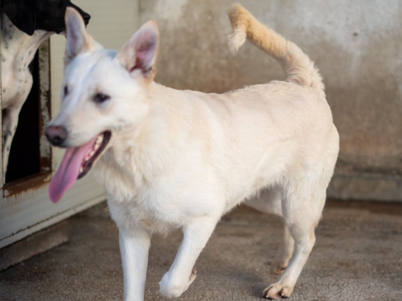 Xander - ein 6`er im Lotto