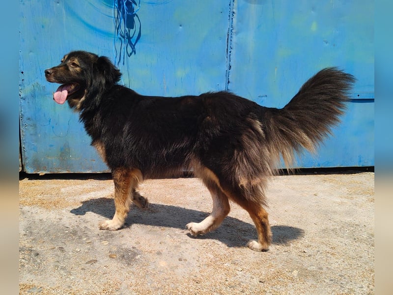 Herra - freundlich und interessiert