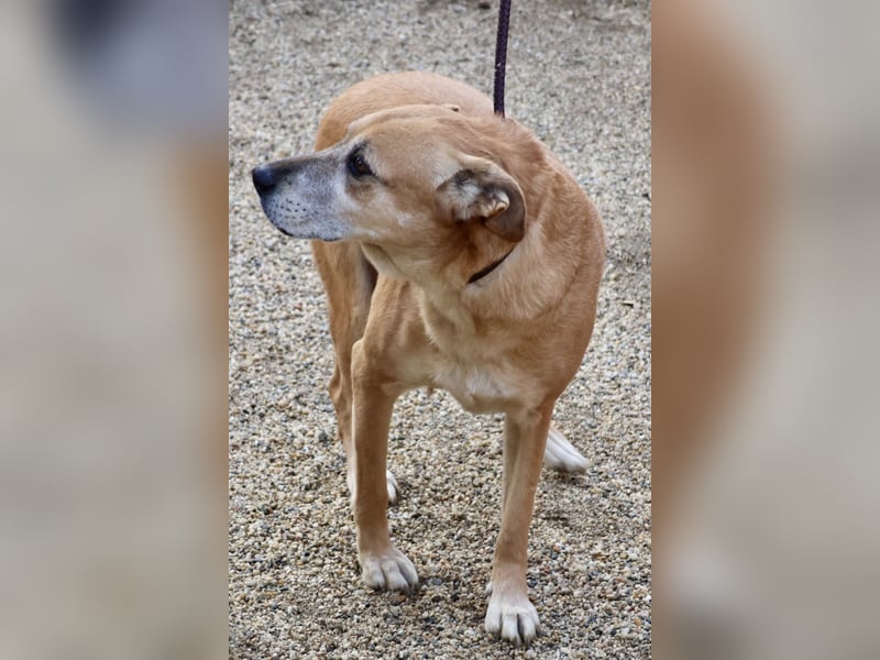 Hellen, sucht Altersruhesitz - NOTFALL -