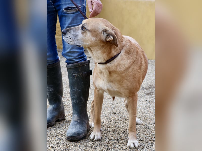 Hellen, sucht Altersruhesitz - NOTFALL -