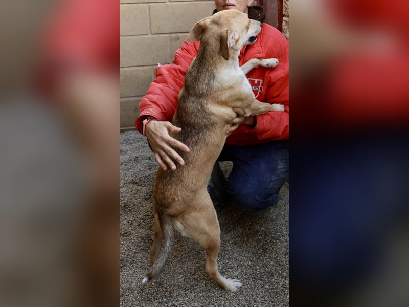 Lolita, zurückhaltend, freundlich, gut sozialisiert