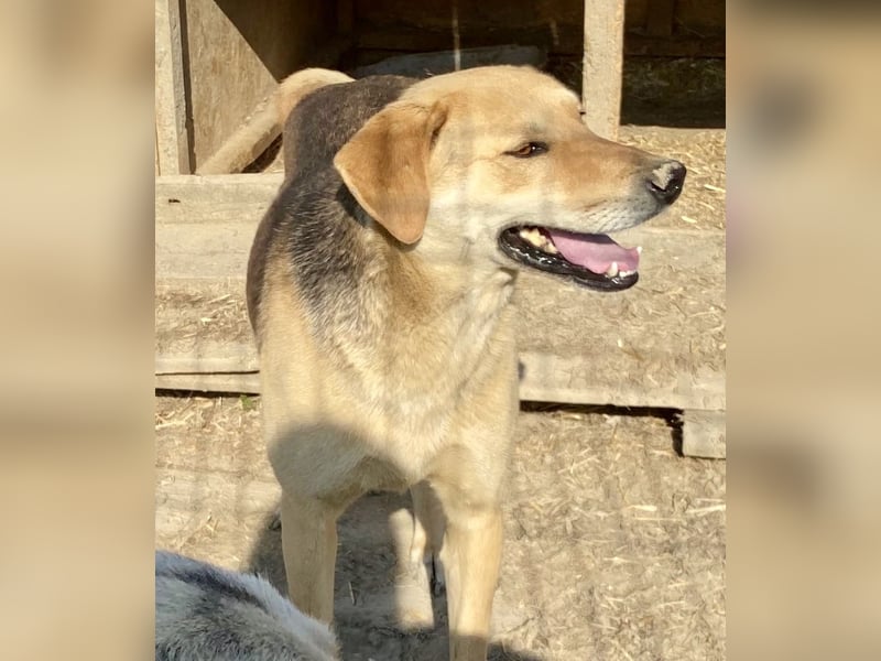 Noelle - freundlich und interessiert