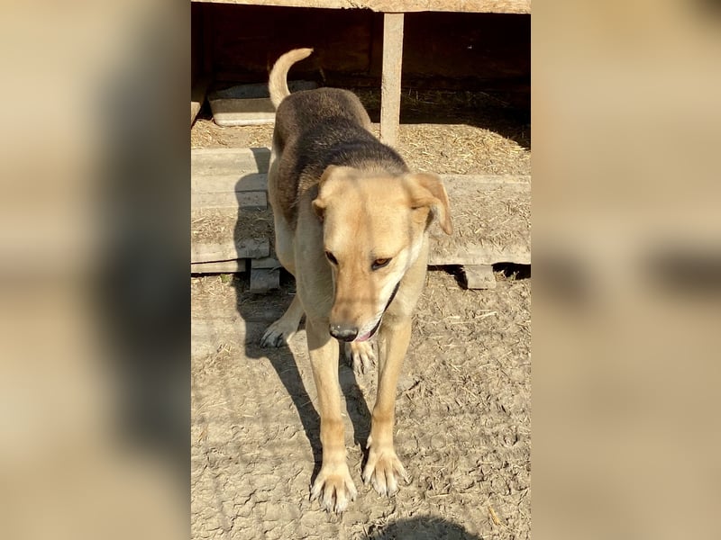 Noelle - freundlich und interessiert