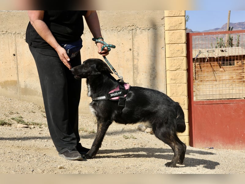 Gia - lässt sich gerne anfassen, freundlich und aufmerksam