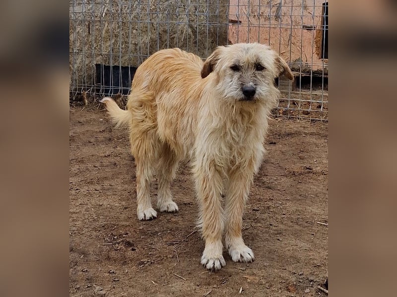 Ronja - freundlich und vorsichtig