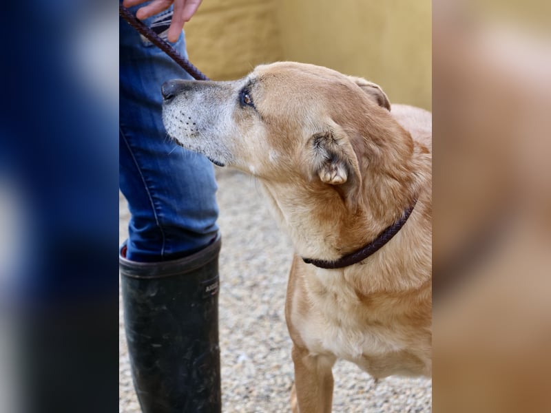 Hellen, sucht Altersruhesitz - NOTFALL -