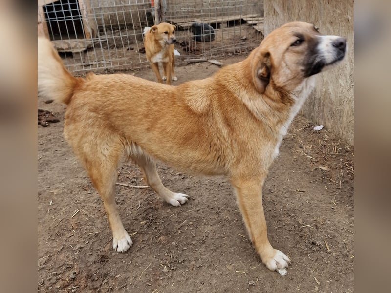 Rabea - freundlich und zurückhaltend