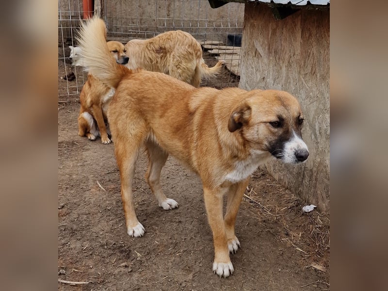 Rabea - freundlich und zurückhaltend