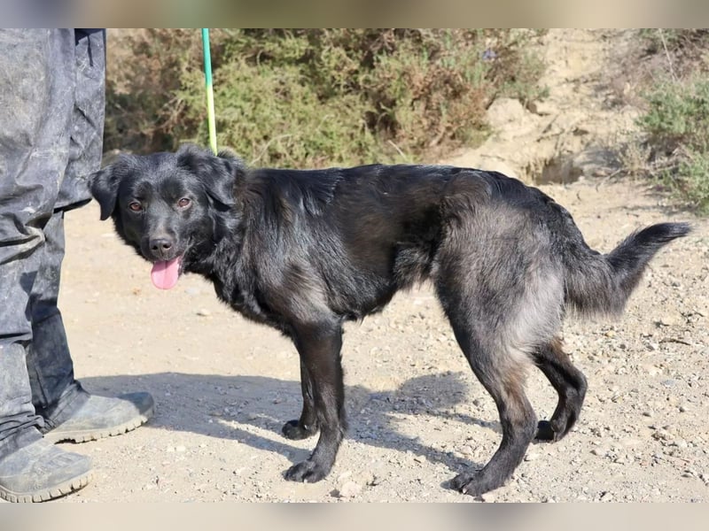 Sila, neugierig, freundlich, lernwillig